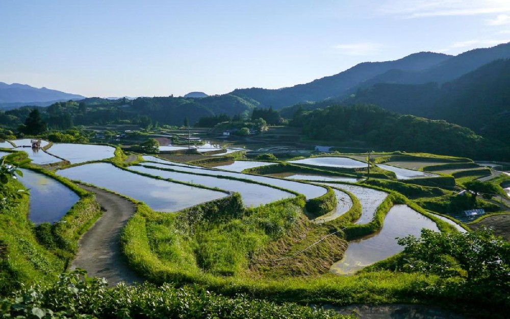 种产销一体化天然农业基地建设项目 种产销一体化天然农业基地建设项目